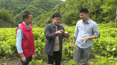 提升能力作风·服务支点建设 | 胡家营镇：持续提升干部能力作风 服务支点建设