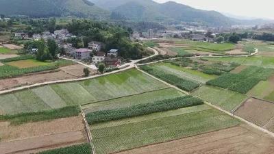 提升能力作风·服务支点建设 | 郧阳区农业农村局：锚定目标 全力推进样板区建设