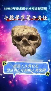 文化中国行丨湖北这个区三次入选“全国十大考古新发现”！