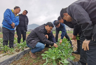 身边榜样 | 山河耕读十三春 阡陌深处有回响——记华中农业大学“硒望·农情”帮扶建始县团队