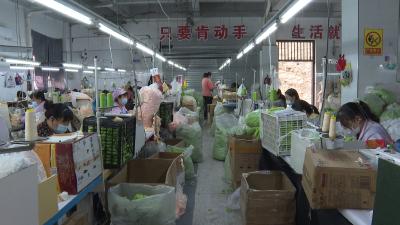 可感可及看民生 | 郧阳区119个零工超市助力群众家门口就业