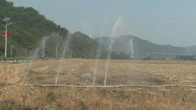 郧阳区多措并举抗旱保收 全力筑牢粮食稳产防线