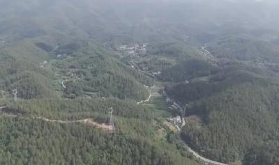 郧阳区：林下生“金”助民富