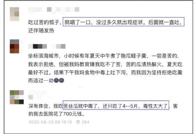 毒性堪比砒霜！一种正大量上市的瓜，一旦发苦赶紧吐掉