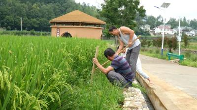 牢记嘱托护碧水 | 郧阳区：多措并举破解面源污染难题