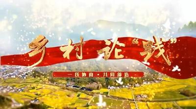 乡村论“践” | 龙韵村里的新农人
