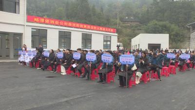 安阳镇举行郧阳黄酒酿造技能大赛开酿仪式