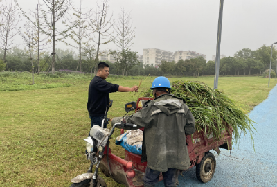 活力襄阳燃动长假！重点项目“火力全开”，民生服务“暖心护航”