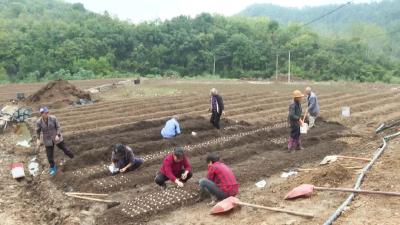 郧阳区：秸秆“变废为宝”循环利用