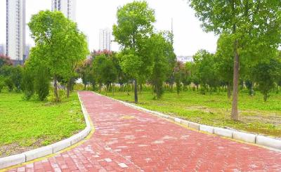 湖北郧阳：全力建设300亩体育公园  打造市民滨江休憩带
