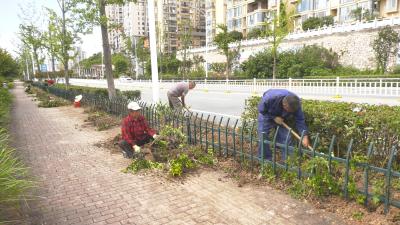 久久为功 建设滨江花园城｜厚植滨江花园城绿色底蕴