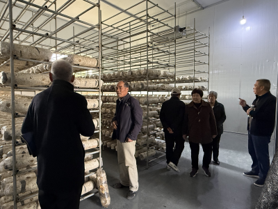 郧阳区白浪镇：九九话重阳  银晖映初心