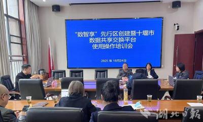 郧阳区“数智享”先行区创建助推政务数据高效共享