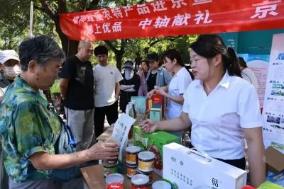 共抓大保护 当好守井人 | 郧阳区：织密京郧协作网 绘就乡村振兴图