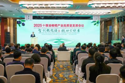 2025十堰油橄榄产业高质量发展会议在郧开幕