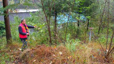 大柳乡：筑牢地质灾害防治“安全堤”