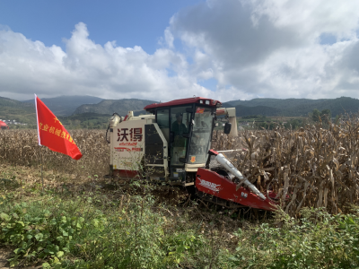 郧阳区抢抓雨歇间隙 全力保障 “三秋”生产有序推进