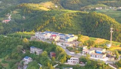 乡村振兴新画卷 | 青山镇琵琶滩村：党建聚合力 产业促增收