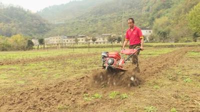 鲍峡镇：抢抓农时忙秋播 秋冬生产掀热潮 