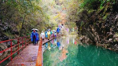 韩国“思密达”，包机来大美郧阳啦~