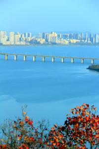 郧阳区：高水位下 郧阳秒变“滨海小城”