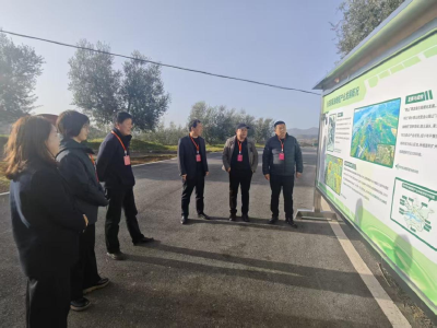 郧阳区安阳镇：瞄准“小切口” 委员一线协商