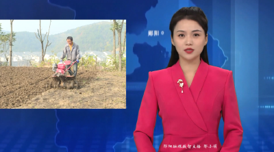 青曲镇：秋冬生产忙不停