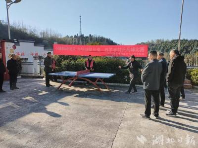 郧阳区谭家湾镇：乒乓赛场竞风采 文明新风聚民心