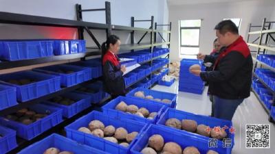 数量近万，全球规模最大！今天，它们喜提“身份证ID”！