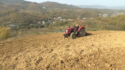 郧阳区白桑关镇：抢晴日忙秋播 精耕细作保丰收