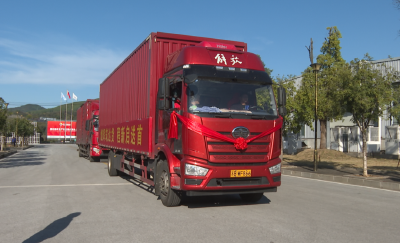 十堰郧阳：郧阳花菇“牵手”世界500强，走向全国高端市场