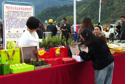 十堰郧阳：农旅融合绘就乡村振兴新图景