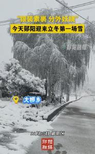 初雪驾到！郧阳立冬披 “白纱”，银装素裹入画来