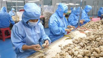 “三百培育”在行动 奋勇争先走前列 | 郧康食品：提升产能 冲刺四季度