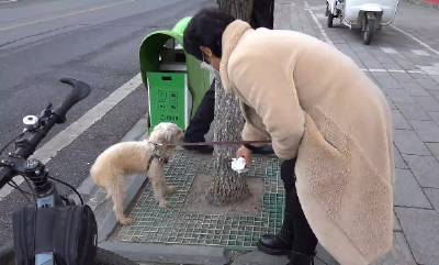 文明养犬从我做起 郧阳区市民践行“五养”守则