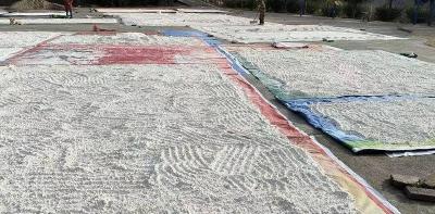 郧阳区梅铺财政所：助力小作坊串起大产业