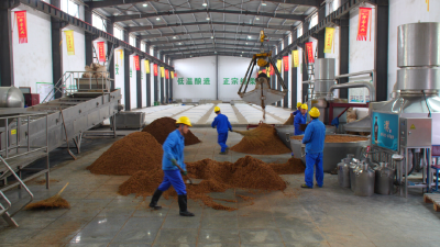 奋力建支点 决战全年红 | 梨花村酒业：酿造生产忙 白酒满飘香