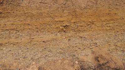 百万年前，古汉江或见证古人类与恐龙蛋化石“邂逅”