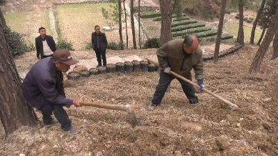十堰郧阳：大力发展林下经济 助力乡村振兴