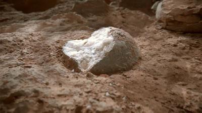 湖北青龙山恐龙蛋科研成果入列2025年全球十大恐龙发现