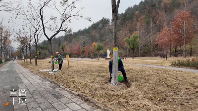 这些白色的是啥？十堰城区多条路上都出现了.....