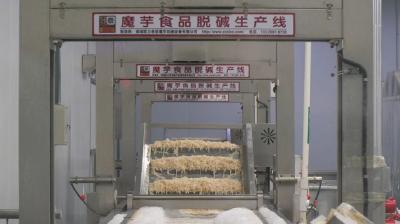 好山好水育优品 | 全产业链培育 郧阳“黑疙瘩”成群众致富好产业