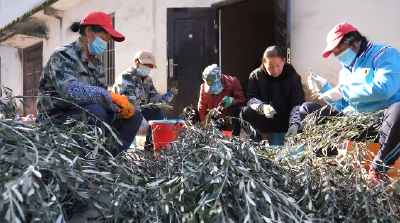 十堰郧阳：深耕本土 “育苗田” 催开产业 “向阳花”