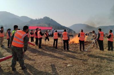 郧阳区南化塘镇：以练备战强本领 以防护林守青山