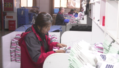 奋力建支点 决战全年红 | 湖北棉伙棉伴公司：加快二期项目建设  全力冲刺4.8亿元产值目标