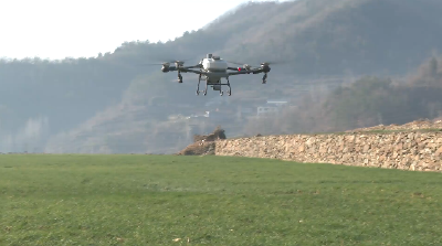 十堰郧阳：农技服务到田间 一线防寒保生产