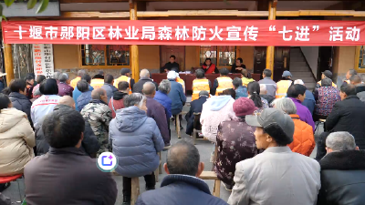 郧阳区开展“护林护民护生态文明实践”主题活动