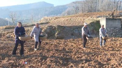 郧阳区：粪肥还田 “变废为宝” 推动农业提质增效