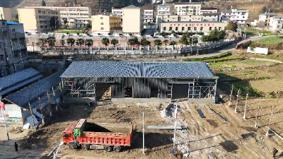 郧阳区五峰乡南北峰村：补齐链条保丰收 菊花加工车间助力产业升级