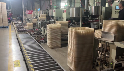 昌欣香菇公司：提高菌种质量铸优势 扩展产业链条拓市场